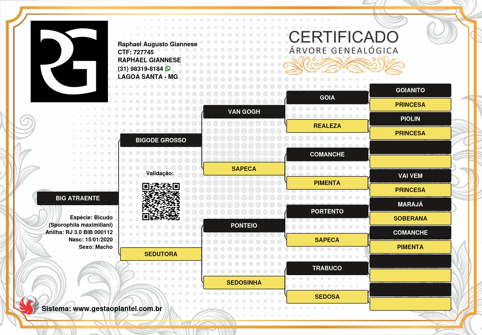 Big Atraente